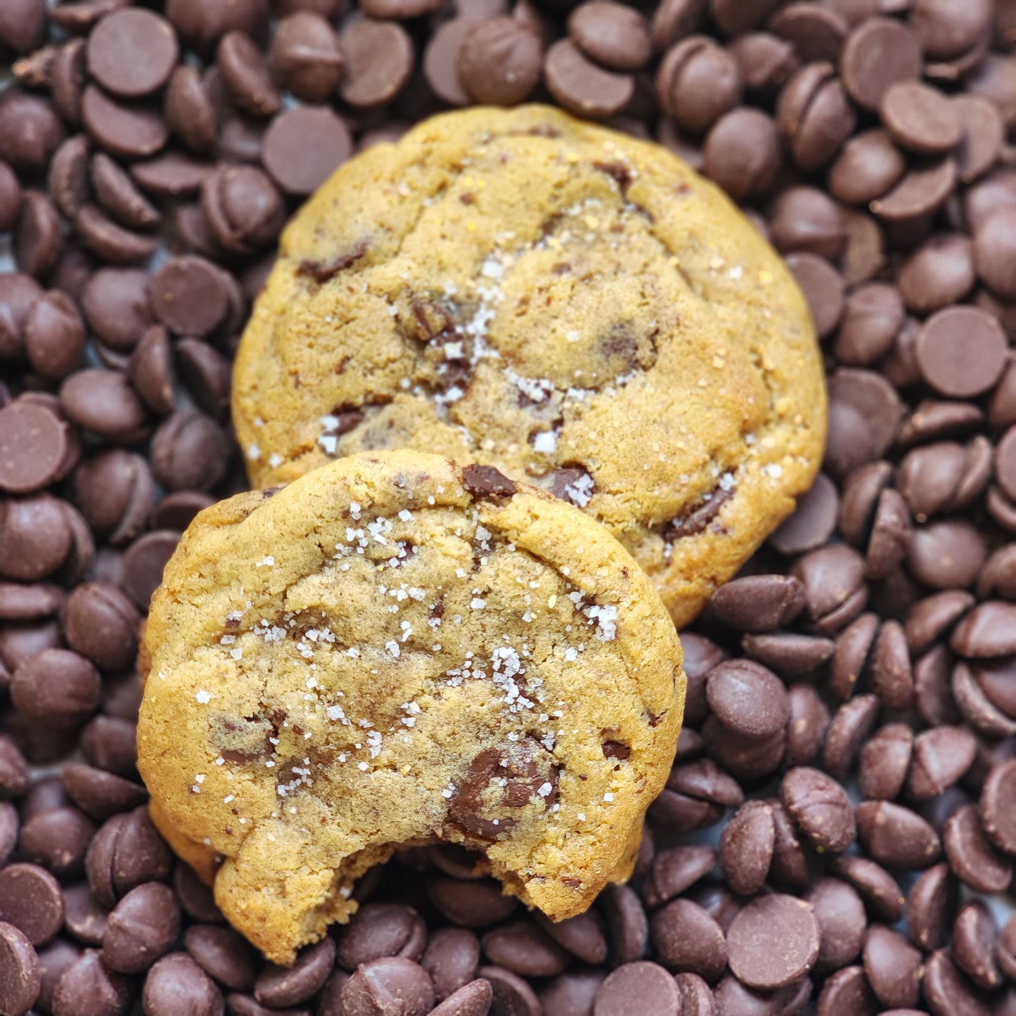 Cookies - Dark Chocolate Chunk
